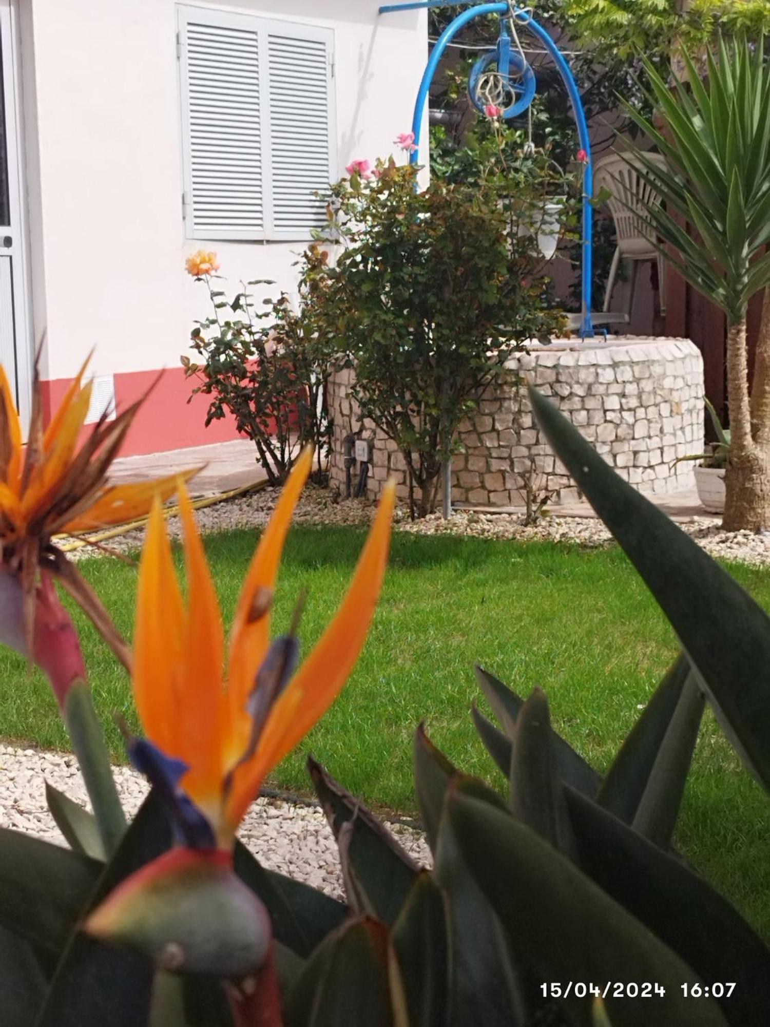 Ranch Lau&Ri Nazare Apartment Cela Velha Ngoại thất bức ảnh
